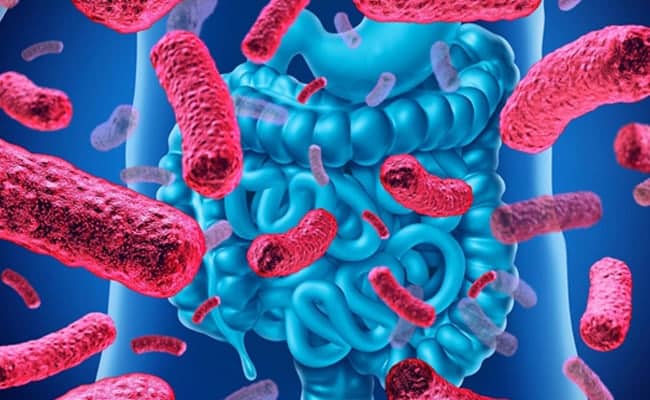 A blue and red image of the stomach with many bacteria.